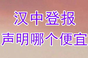 漢中登報聲明哪個便宜